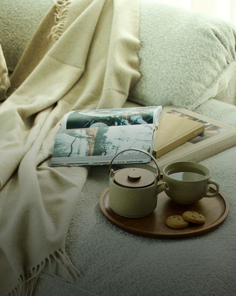 Eine gemütliche Umgebung mit einer weichen beigen Decke, einer aufgeschlagenen Zeitschrift und mehreren Büchern auf einem Sofa. Auf einem Holztablett stehen eine Teekanne, eine Tasse Tee und zwei Kekse, die eine warme und einladende Atmosphäre schaffen.