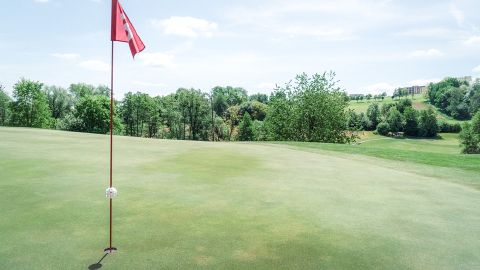 Eine Golf-Flagge steht auf einem Grün unter einem sonnigen Himmel, mit Bäumen und sanften Hügeln im Hintergrund.