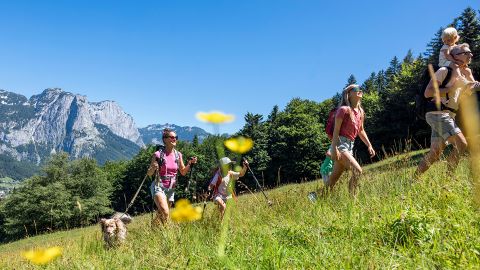 Eine Familie mit Kindern und einem Hund wandert auf einen grasbewachsenen Hügel mit gelben Blumen, Wäldern und Bergen im Hintergrund unter einem klaren blauen Himmel.