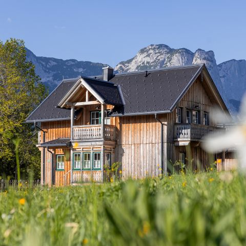 Ein Holzhaus mit Balkon steht auf einer Wiese mit Wildblumen, umgeben von Bäumen und hohen Bergen unter einem klaren blauen Himmel.
