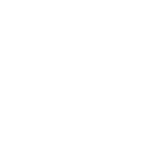 Große, hellgraue Zahlen „249,-“ auf einem schlichten weißen Hintergrund.