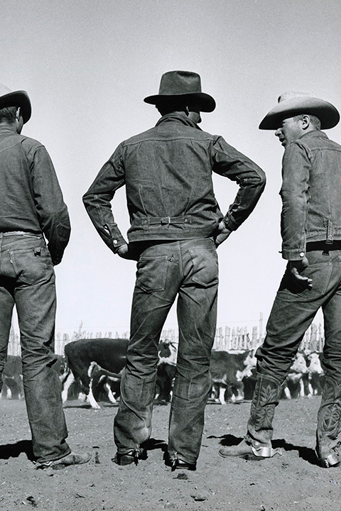 Drei Cowboys in Jeans und Hüten stehen mit dem Rücken zur Kamera und blicken auf eine Rinderherde in einem eingezäunten Außenbereich.
