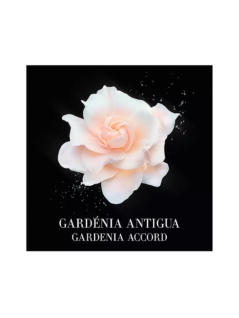 ARMANI/PRIVÉ | Gardénia Antigua Eau de Toilette 50ml | keine Farbe