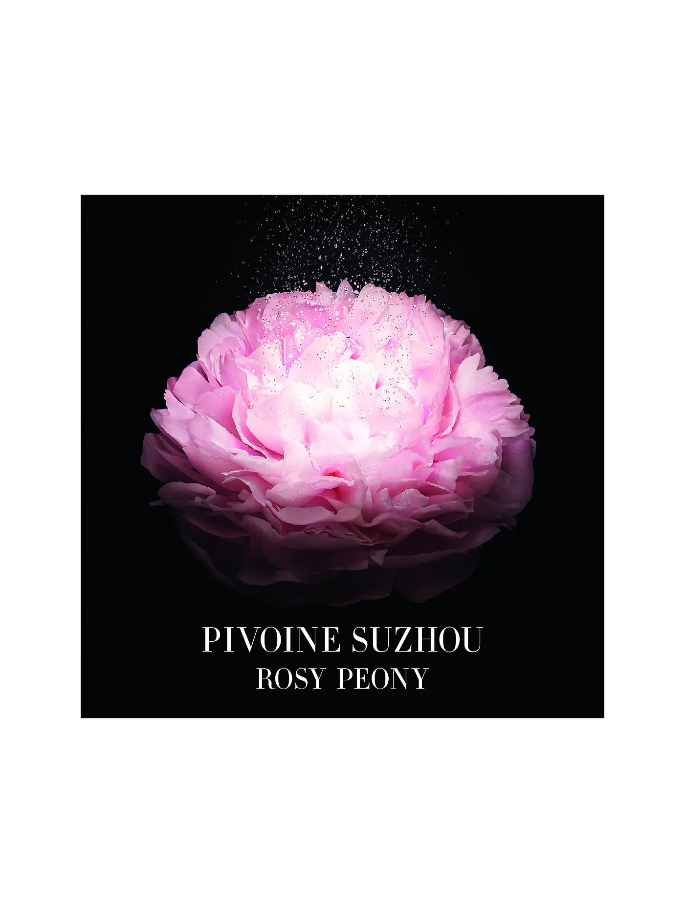 ARMANI/PRIVÉ | Pivoine Suzhou Eau de Toilette 50ml | keine Farbe