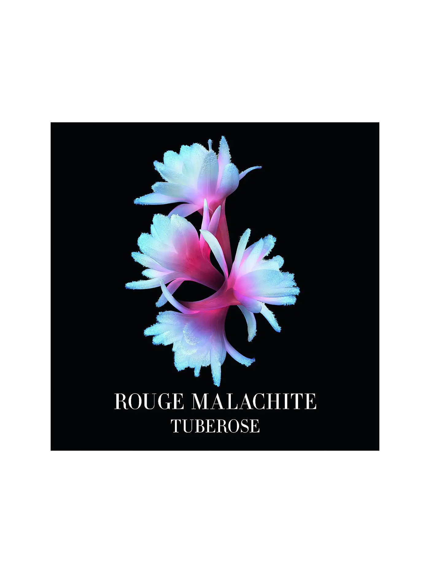 ARMANI/PRIVÉ | Rouge Malachite Eau de Parfum 100ml | keine Farbe