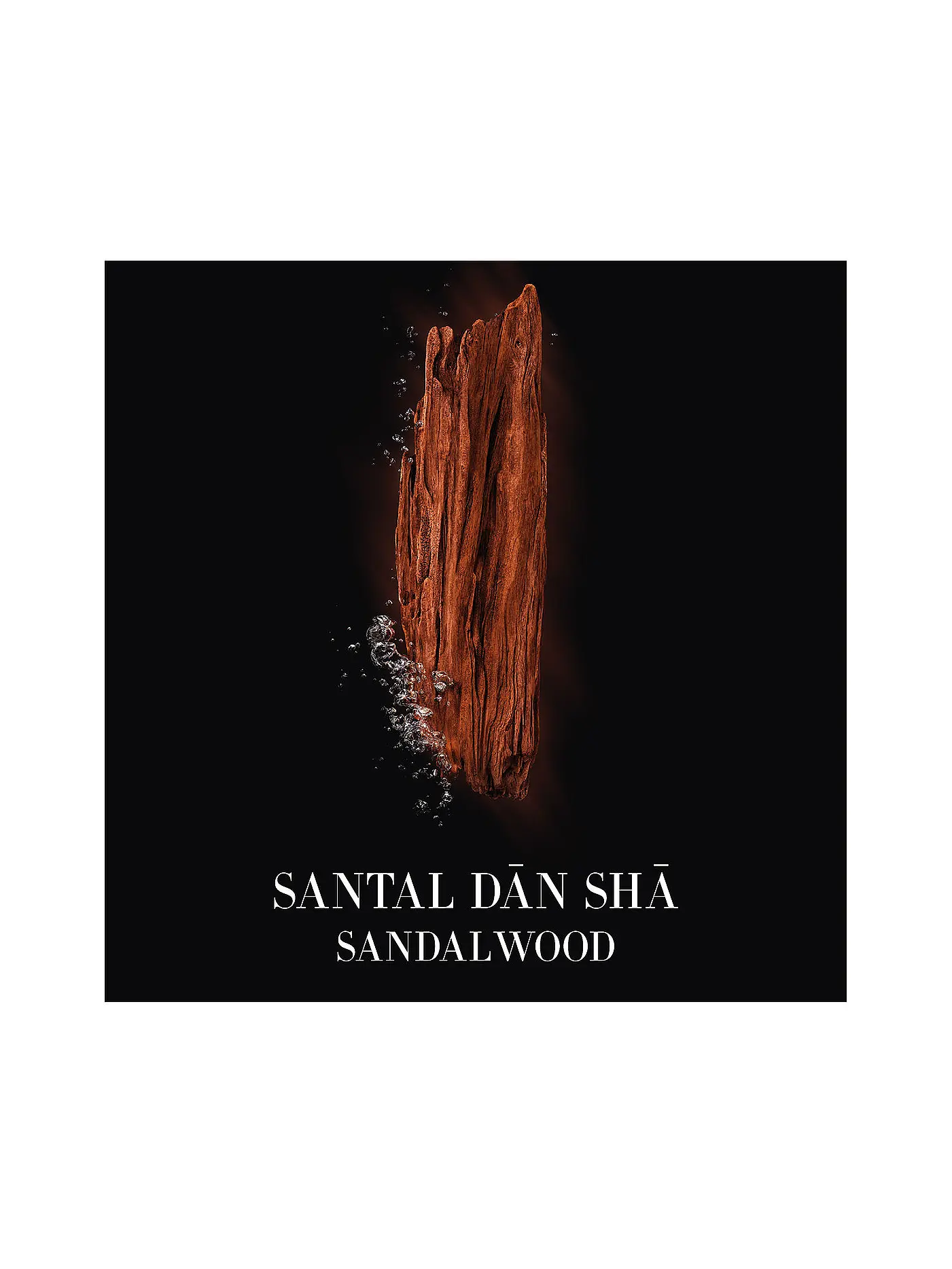 ARMANI/PRIVÉ | Santal Dān Shā Eau de Toilette 50ml | keine Farbe