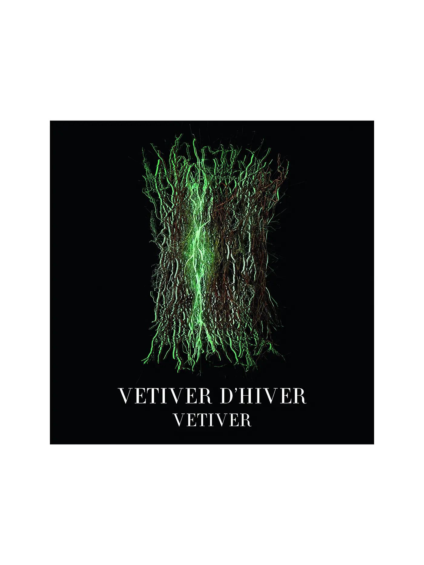 ARMANI/PRIVÉ | Vétiver D'Hiver Eau de Toilette 100ml | keine Farbe