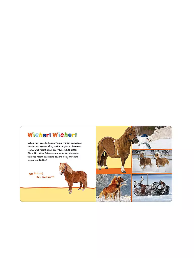 Hör Mal Rein Wer Kann Das Sein übersicht ARS EDITION VERLAG Buch - Hör mal rein, wer kann das sein? - Kleine