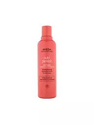 AVEDA | Nutriplenish™ Hydrating Shampoo Light Moisture 250ml | keine Farbe