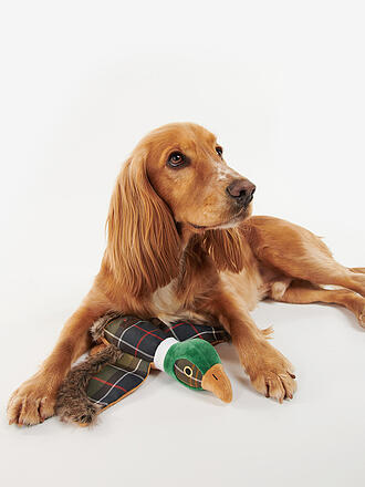 BARBOUR | Hundespielzeug PHEASANT