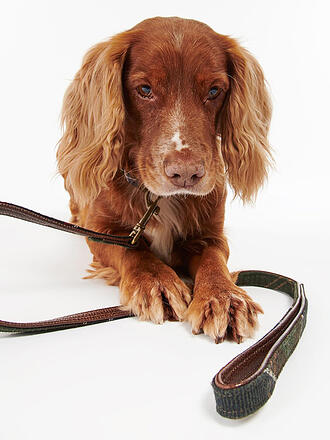 BARBOUR | Correa para perro