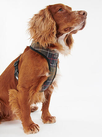 BARBOUR | Hunde Brustgeschirr