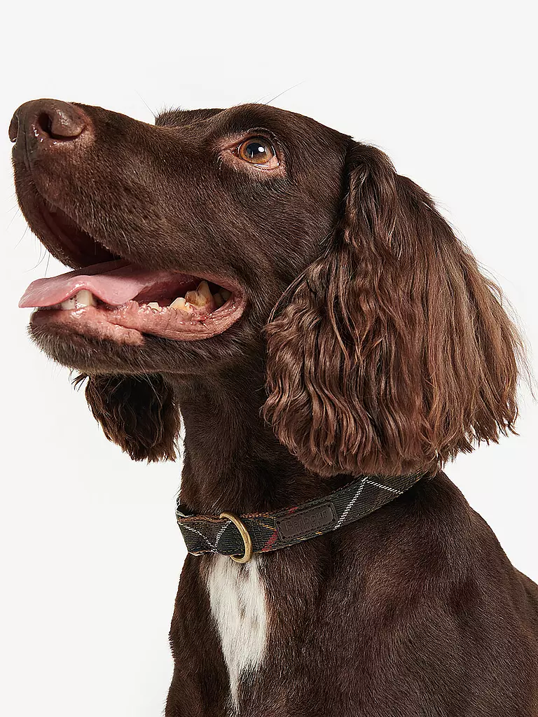 BARBOUR | Hunde Halsband Tartan | olive