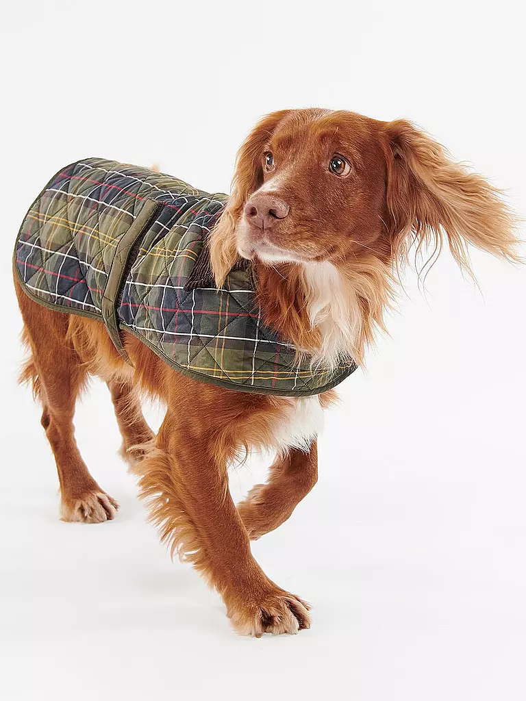 BARBOUR | Hunde Jacke Tartan | olive
