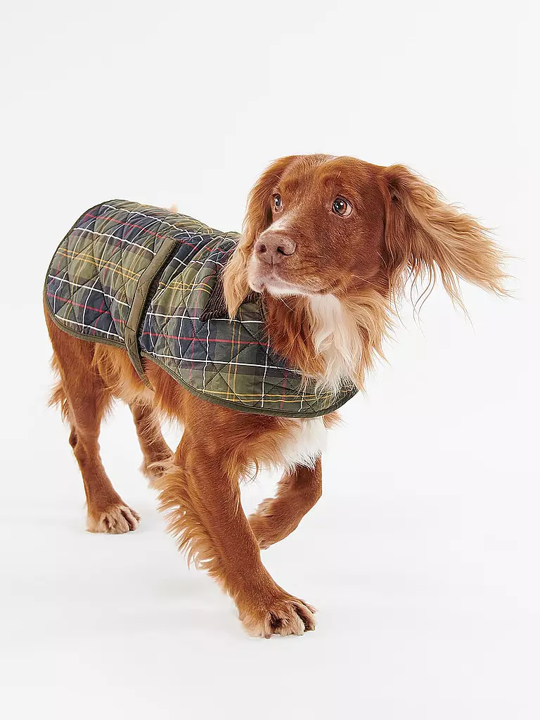 BARBOUR | Hunde Jacke Tartan | olive