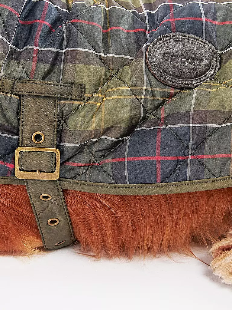 BARBOUR | Hunde Jacke Tartan | olive