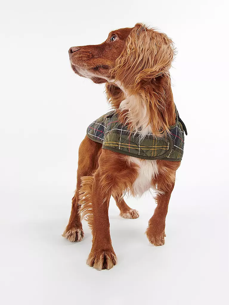 BARBOUR | Hunde Jacke Tartan | olive