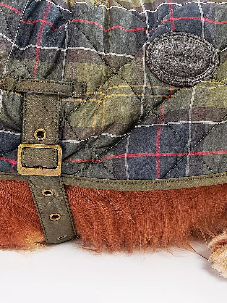BARBOUR | Hunde Jacke Tartan | olive