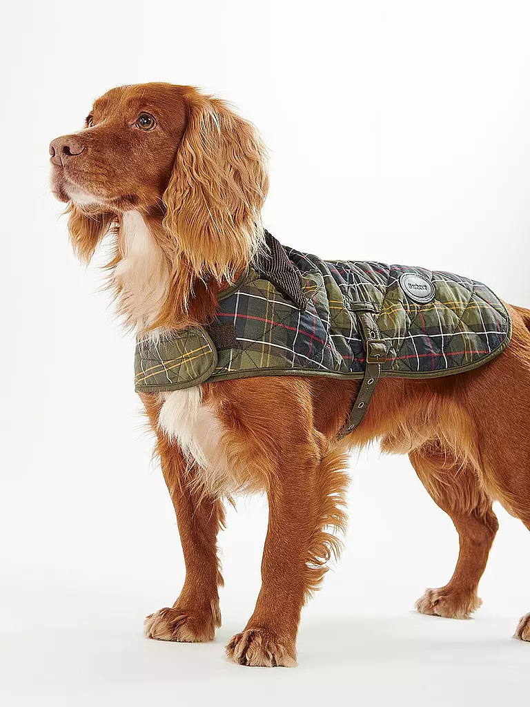 BARBOUR | Hunde Jacke Tartan | olive