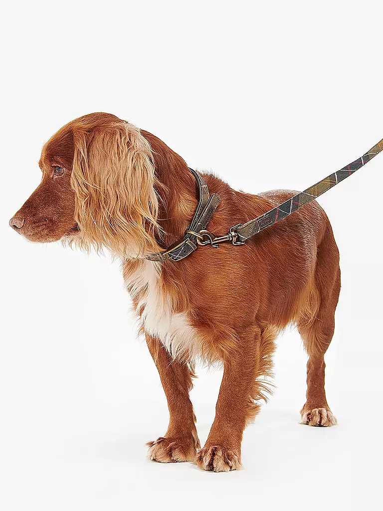 BARBOUR | Hunde Leine Tartan | olive