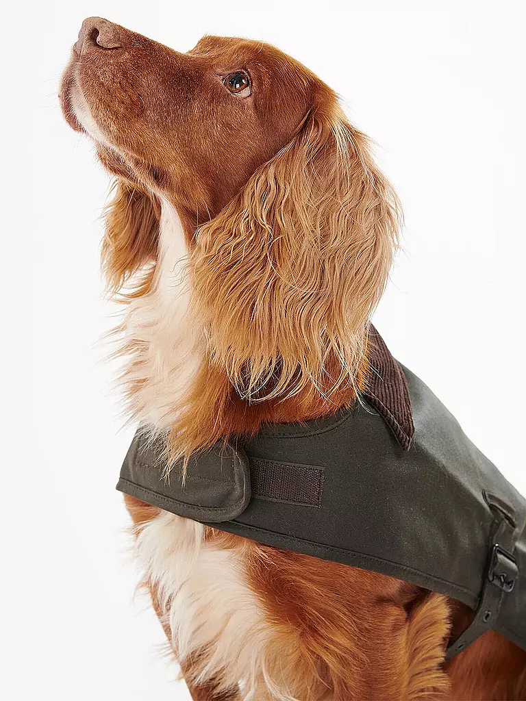 BARBOUR | Hundejacke Wachs | olive