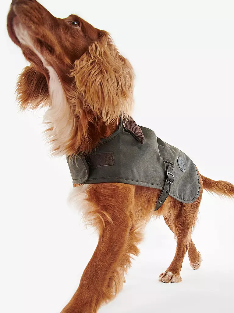 BARBOUR | Hundejacke Wachs | olive