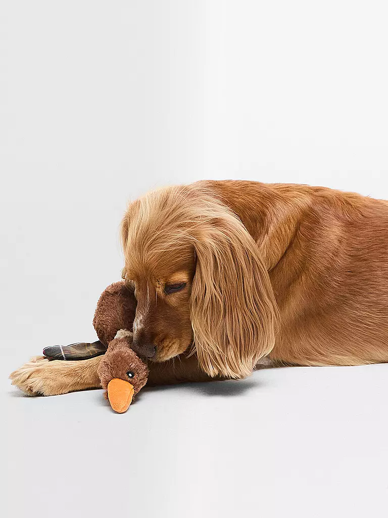 BARBOUR | Hundespielzeug FLYING DUCK | braun