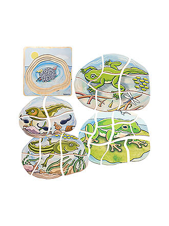 BELEDUC | Lagenpuzzle Frosch