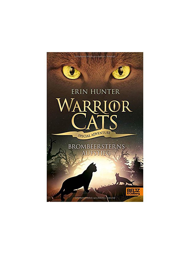 BELTZ & GELBERG VERLAG Buch - Warrior Cats - Brombeersterns Aufstieg (Gebundene Ausgabe)