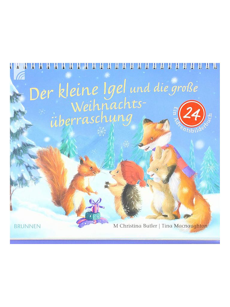 BRUNNEN VERLAG | Buch - Der kleine Igel und die große Weihnachtsüberraschung | 