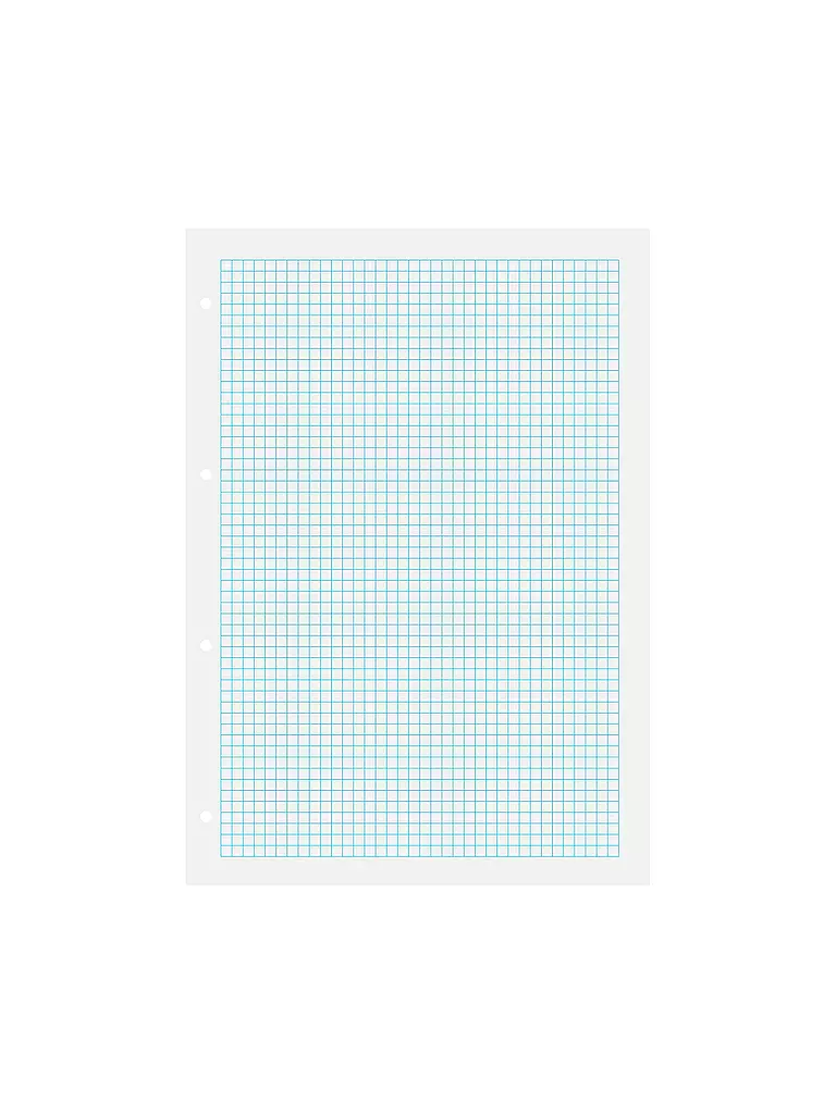 BRUNNEN VERLAG | Ringbucheinlagen Kariert 50 Blatt mit Rahmen | keine Farbe