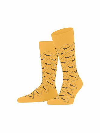 BURLINGTON | Herren Socken DACHSHUND 40-46 sun