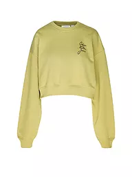 CALVIN KLEIN JEANS | Sweater  | olive