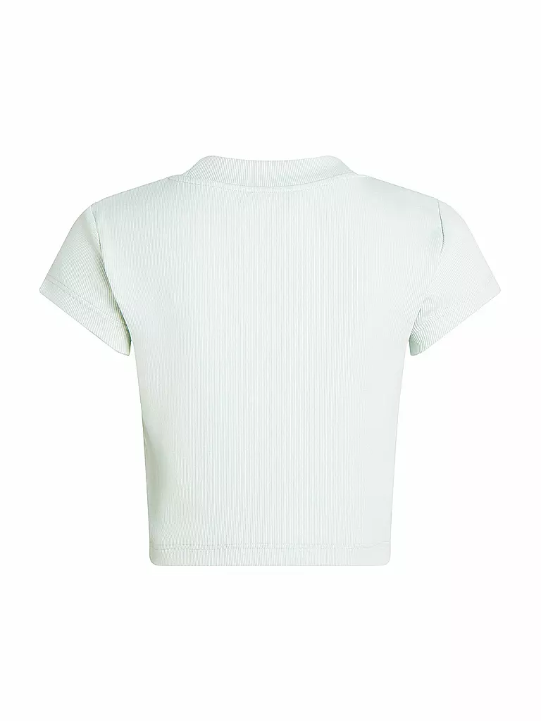 CALVIN KLEIN JEANS | T-Shirt Cropped Fit  | mint