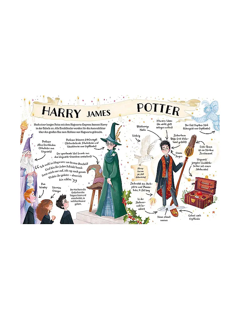 CARLSEN VERLAG | Buch - Potter Guides: Harry Potter | 