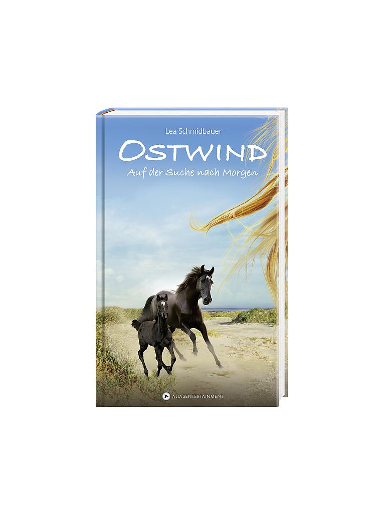 CBJ/CBT VERLAG Buch - Ostwind - Auf der Suche nach Morgen (Gebundene