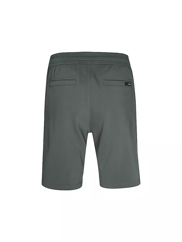 CHASIN | Shorts  | grün