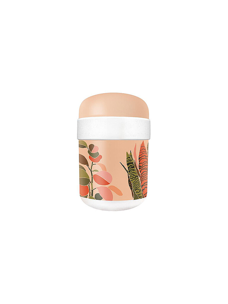 CHIC.MIC Lunchpot Bioloco Plant 0,5l/0,2l Colorful Leaves bunt