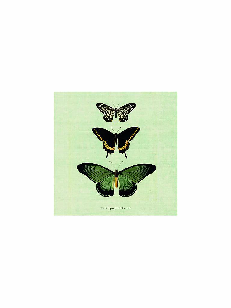 CHIC.MIC | Canvas-Bild "Butterflies" | creme