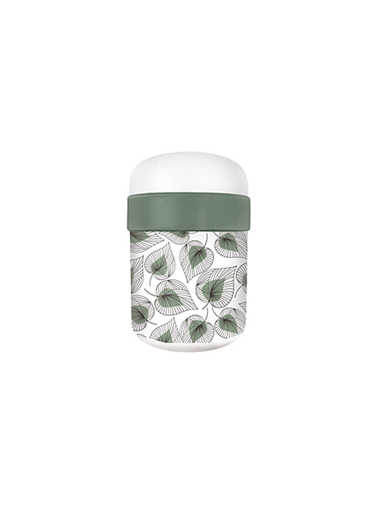 CHIC.MIC | Lunchpot Bioloco Plant 0,5l/0,2l Line Art Leaves | bunt