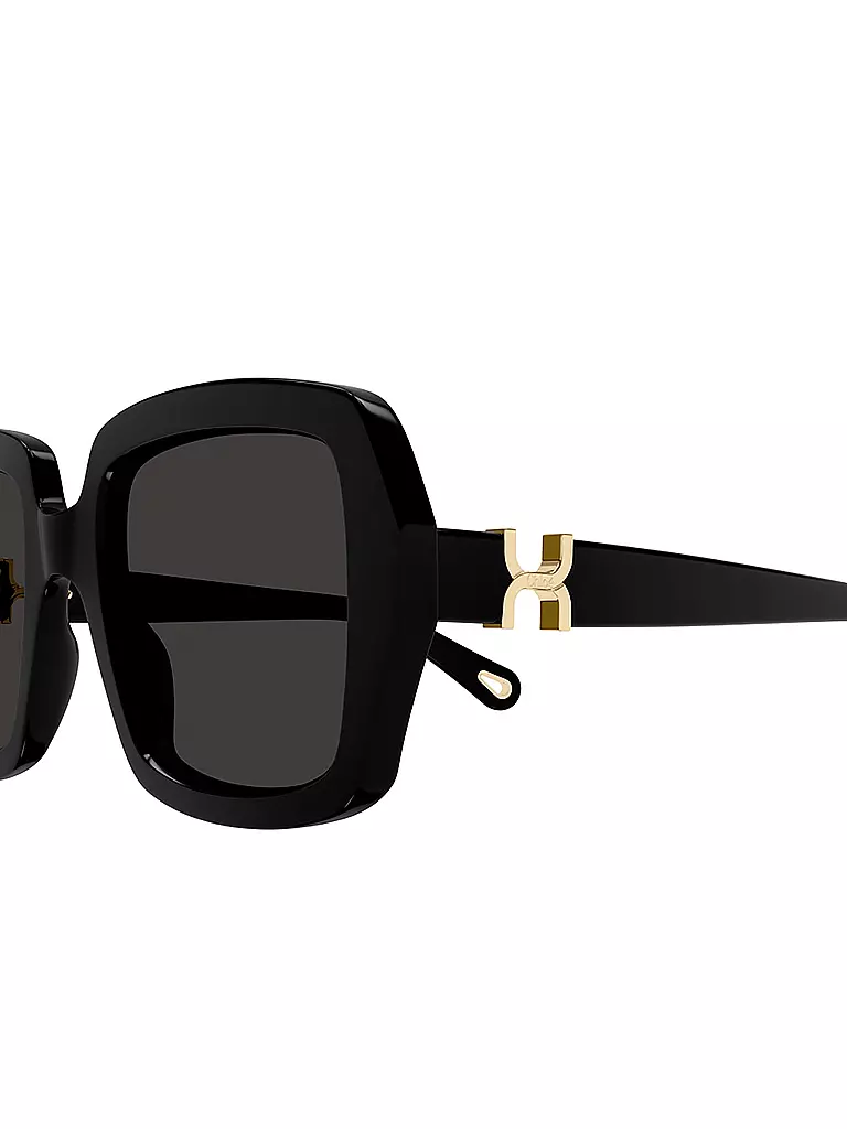 CHLOE | Sonnenbrille CH0301S | braun