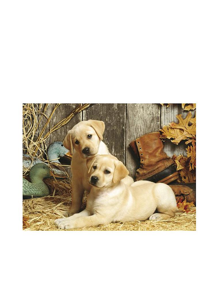 CLEMENTONI Puzzle Hunting Dogs 1500 Teile transparent clementoni puzzle hunting dogs 1500 teile