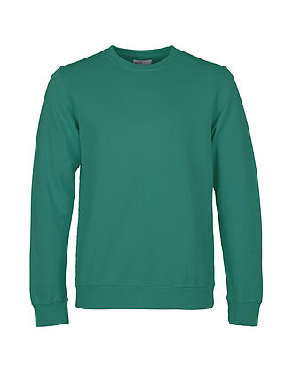 COLORFUL STANDARD | Sweater