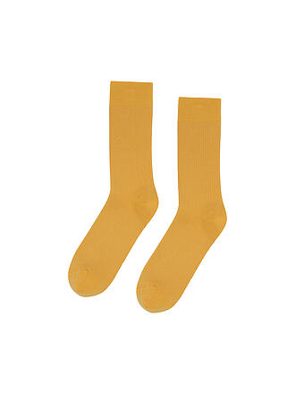 COLORFUL STANDARD | Socken burned yellow