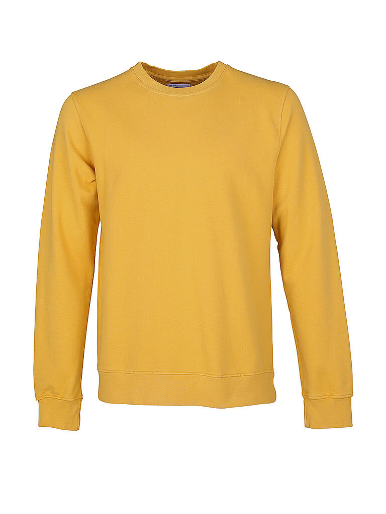 COLORFUL STANDARD | Sweater  | gelb