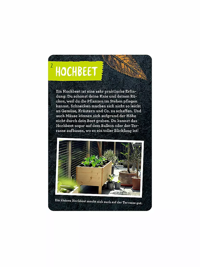 COPPENRATH VERLAG | Buch - 50 Garten-Projekte, Stefanie Zysk | keine Farbe