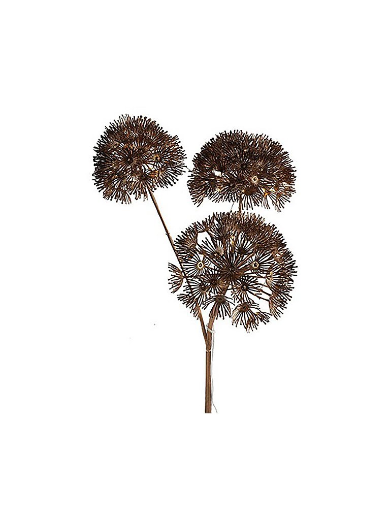 COUNTRYFIELD Heracleum LED Timer 89cm braun