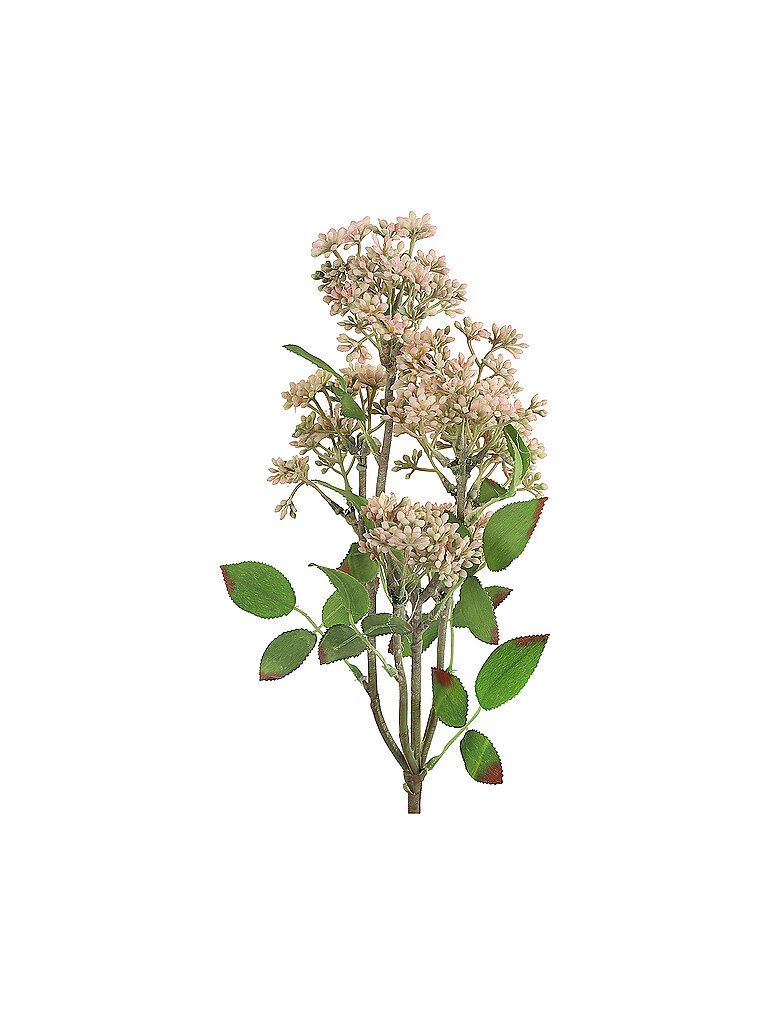 COUNTRYFIELD Dekopflanze Prunus 58cm rosa