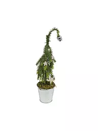 COUNTRYFIELD | LED Weihnachtsstern 20x30x35cm 3D Faery Gold | gold