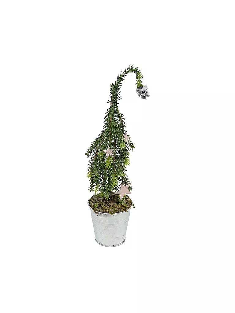 COUNTRYFIELD | LED Weihnachtsstern 20x30x35cm 3D Faery Gold | gold